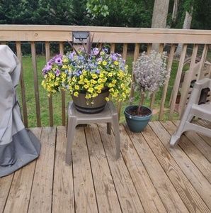 Meet your Posher, Joyce